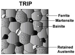 TRIP