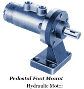 Pedestal Foot Mount motor