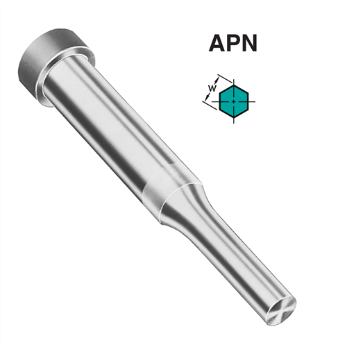 APN Punch