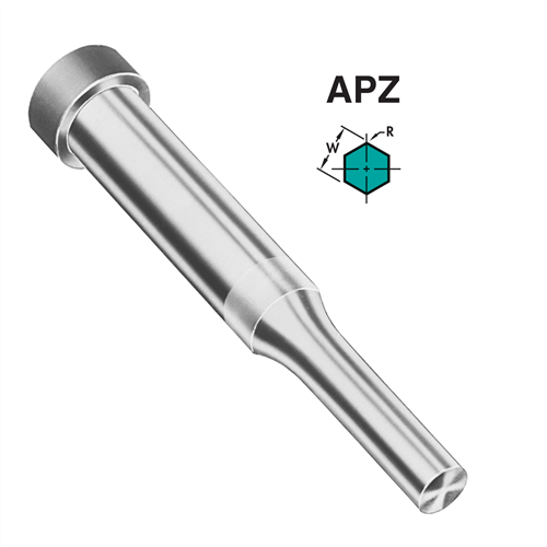 APZ Punch